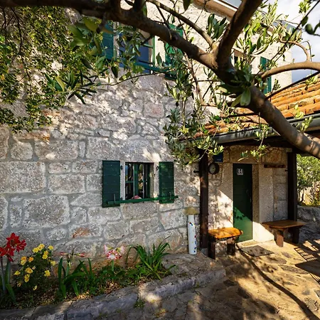 My Dalmatia - Sea View Stone House Dobroselo Starigrad Paklenica