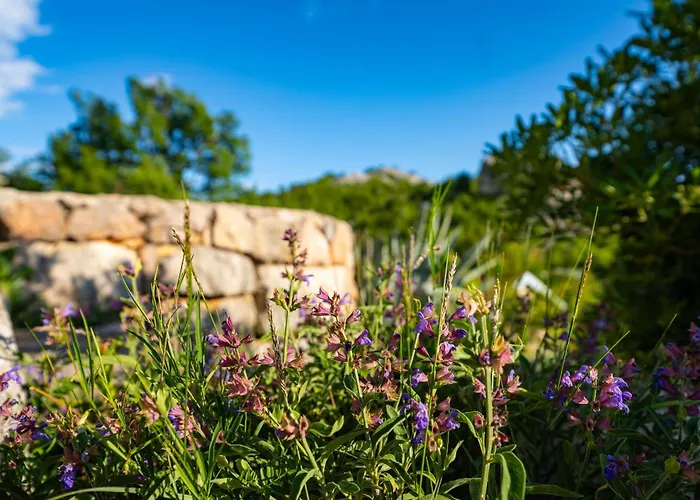 My Dalmatia - Sea View Stone House Dobroselo Semesterbostad *