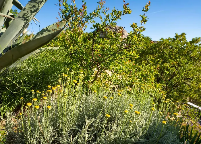 Semesterbostad My Dalmatia - Sea View Stone House Dobroselo